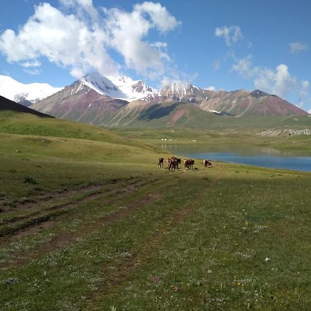 Pamir Nomad Yurt Camp Kara-Kavak Exterior foto