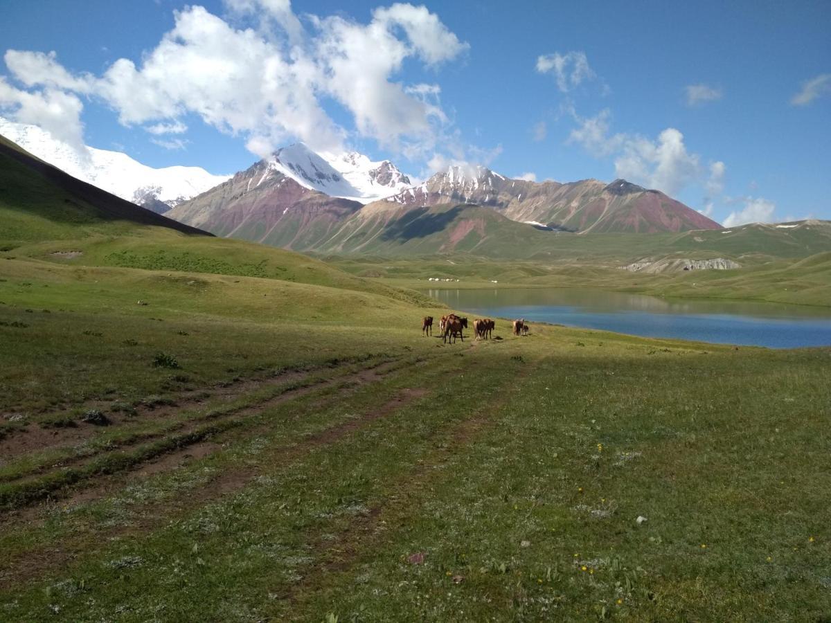 Pamir Nomad Yurt Camp Kara-Kavak Exterior foto