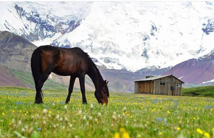 Pamir Nomad Yurt Camp Kara-Kavak Exterior foto